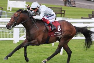 Queen Elizabeth II Stakes 2021 Preview, Predictions & Betting Tips – Palace Pier Battles Baaeed at Ascot