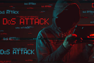 SEACOM Taps NETSCOUT for DDoS Services in SA & Kenya