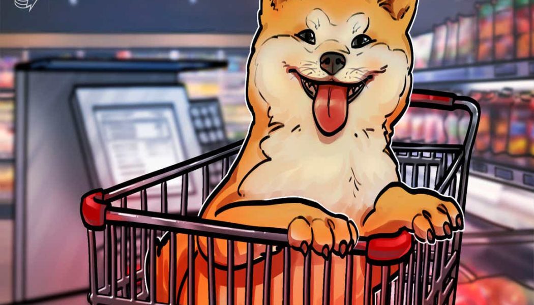 Shiba Inu surges over 45% in two days to reach an all-time high
