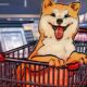 Shiba Inu surges over 45% in two days to reach an all-time high