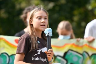 Teen Activist Greta Thunberg Rickrolls Crowd at Climate Live Concert