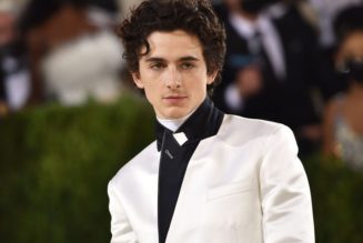 Timothée Chalamet Used To Modify Xbox 360 Controllers on YouTube