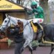 2021 Betfair Chase Tips, Predictions & Preview – Bristol De Mai Tries to Tie Haydock Record
