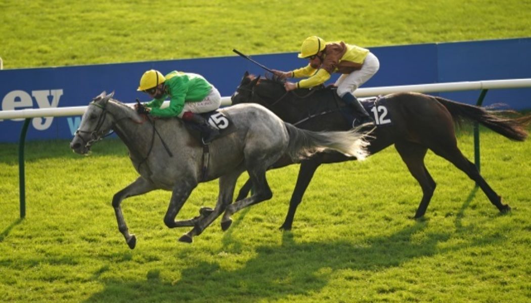 2021 Coral Hurdle Preview, Predictions & Betting Tips – Buzz All the Rage at Ascot