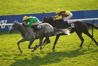 2021 Coral Hurdle Preview, Predictions & Betting Tips – Buzz All the Rage at Ascot