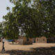 Africa’s ‘Great Green Wall’ shifts focus to hold off desert