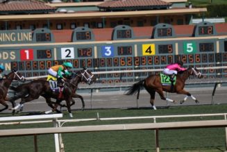 Breeders Cup 2021 Tips – Six Saturday Selections from Stellar Del Mar Card