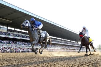 Breeders Cup Classic 2021 Preview, Predictions & Betting Tips – Cox Has Strong Hand with Essential Quality & Knicks Go
