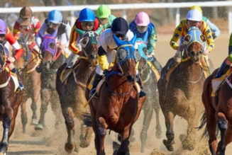 Breeders Cup Tips, Predictions & Preview 2021 – Five Friday Fancies in Juvenile Races