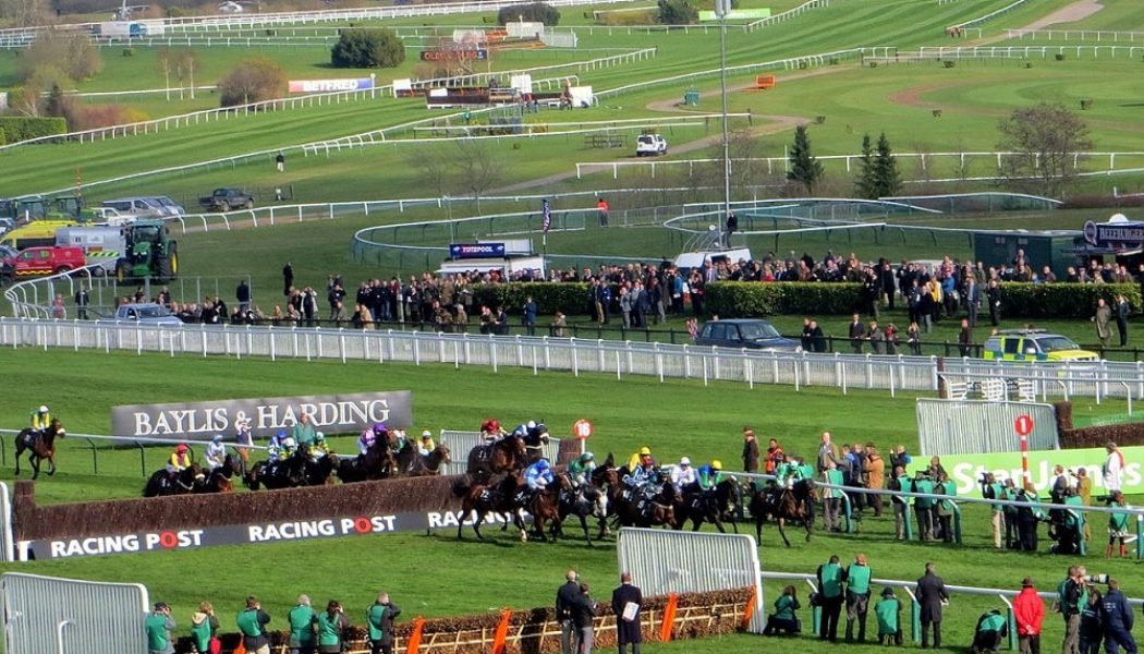 Cheltenham Paddy Power Gold Cup Tips – Four Each Way Plays for Big Race