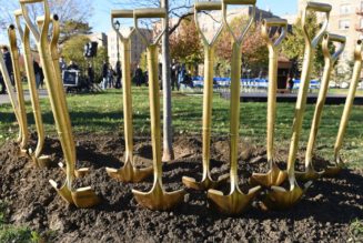 Democrats’ plan to boost ‘tree equity’ is actually a good idea