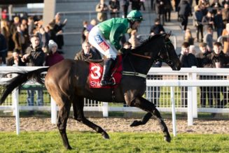 Elite Hurdle 2021 Preview, Predictions & Betting Tips – Sceau Royal Fancied for Third Wincanton Win