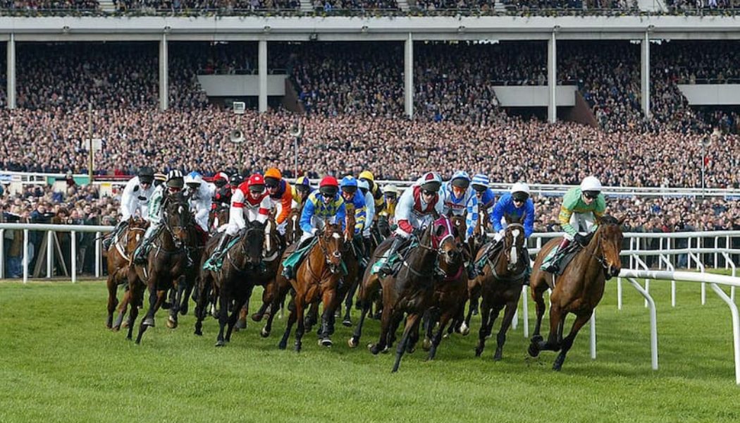 Get £10 in Cheltenham Free Bets for Sunday’s Race Meets – Best Free Bets for Cheltenham