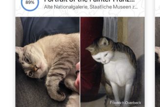 Google’s Pet Portraits lets you find art look-alikes for your furry friend