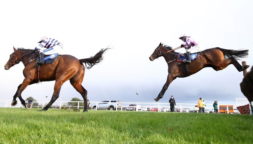 Haldon Gold Cup 2021 Preview, Predictions & Betting Tips – Nicholls