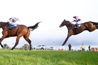 Haldon Gold Cup 2021 Preview, Predictions & Betting Tips – Nicholls
