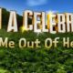 I’m a Celebrity Get Me Out of Here Betting Odds & Predictions