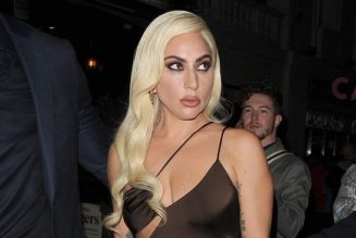Lady Gaga Wore the Sassiest Cut-Out Dress With Heels Only She Could Walk In