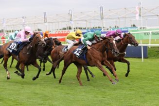 November Handicap 2021 Preview, Predictions & Betting Tips – Three Each Way Plays for Doncaster Finale