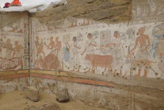 Researchers Uncovered a Tomb Linked to Pharaoh Ramses II