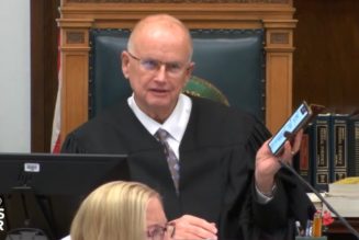 Rittenhouse trial judge still baffled by pinch-to-zoom