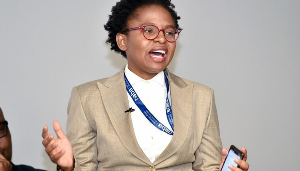 SA Govt Planning to Bring Internet to All Homes by 2024 – Communications Minister