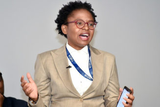 SA Govt Planning to Bring Internet to All Homes by 2024 – Communications Minister