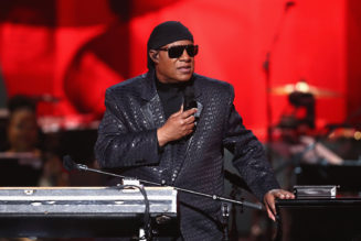 Stevie Wonder Brings Back House Full of Toys Benefit Concert
