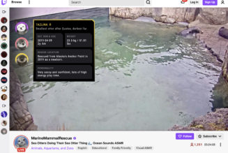 Twitch’s new Animals livestream category may give you that fuzzy feeling