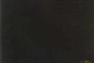 5 Albums I Can’t Live Without: Jeff Ament of Pearl Jam