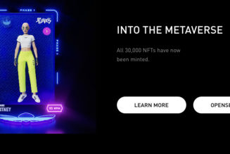 Adidas sold more than $22 million in NFTs, but it hit a few snags along the way