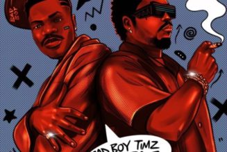 Bad Boy Timz – Skelele ft Olamide