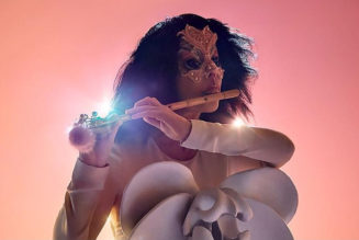 Björk Announce Orchestral Shows in Miami