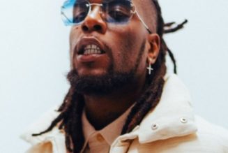 Burna Boy Pushes A Stubborn Fan Off The Stage While Performing