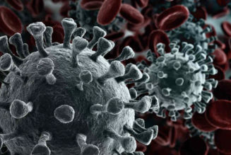 Cancel All Music, Somebody Turned COVID-19’s Genetic Sequence into Song NFTs