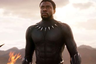 Chadwick Boseman’s Brother Claims That the Late Actor Would Have Wanted Black Panther Recasted