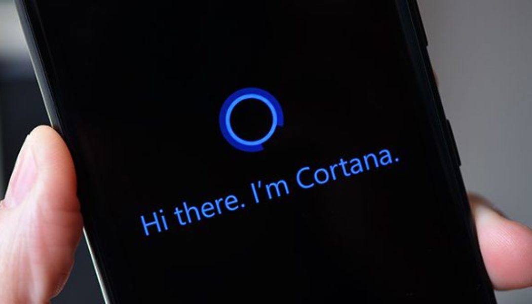 Cortana would be named Bingo if Steve Ballmer had his way
