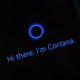 Cortana would be named Bingo if Steve Ballmer had his way
