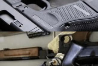 Customs Reveals True Content of Container Suspected to be Arms Laden