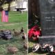 Dee Dee Ramone’s Gravesite Is Visited Daily by a Bevy of Ducks