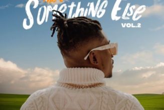 Dr. Barz – Something Else Vol. 2