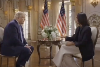 Easy Lift: Pro-Vaccine Donald Trump Managed To Make Candace Owens Look Like An Edgeless Bozo