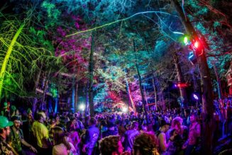 Elements Festival Shares Roadmap of Improvements After Controversial 2021 Event