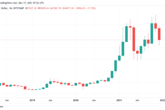 Happy ‘bearday,’ Bitcoin: It’s been 3 years since BTC bottomed at $3.1K