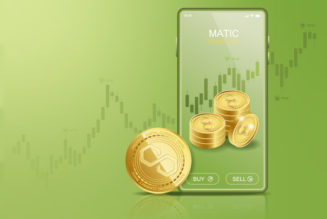 Host of popular cryptocurrency trading YouTube series “Coin Bureau” says Polygon (MATIC) could triple in this cycle