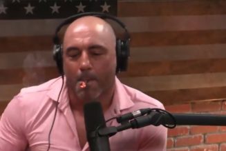 Joe Rogan Recycles Idea Of Michelle Obama Being President For 2024