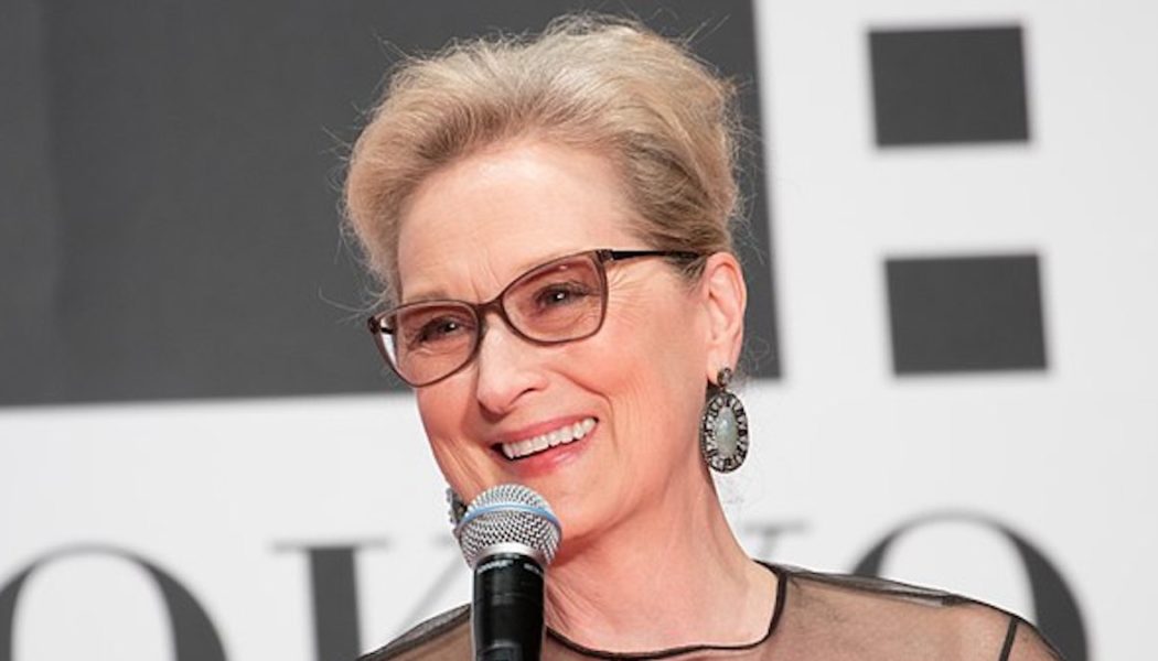Meryl Streep Thought Her Don’t Look Up Co-Stars Were Literally Calling Her a Goat