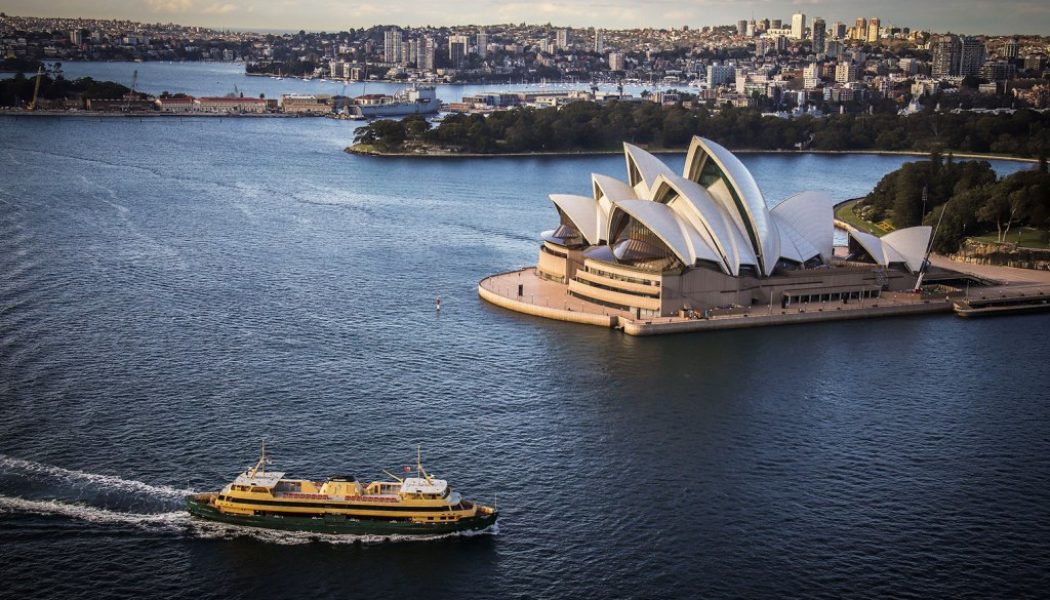 Mushroom Group Parts With Harbour Agency Following Investigation