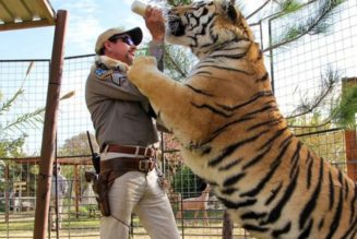 Netflix Drops Official Trailer for ‘Tiger King’ Spinoff ‘The Doc Antle Story’