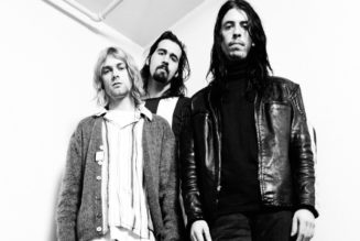 Nirvana Respond to Nevermind Artwork Lawsuit, Seek Dismissal